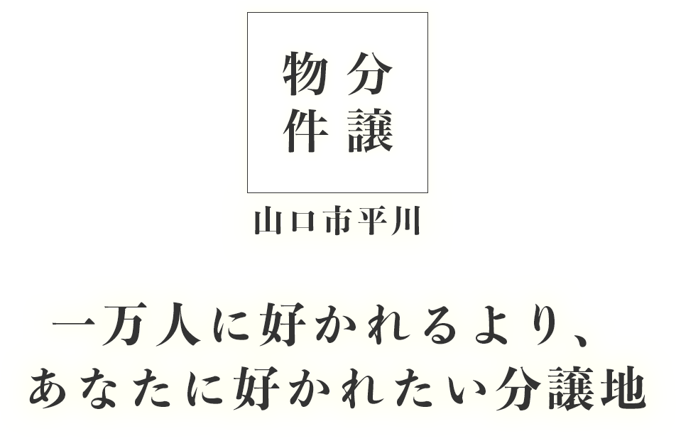 山口市平川分譲物件、一万人に好かれるより、あなたに好かれたい分譲地